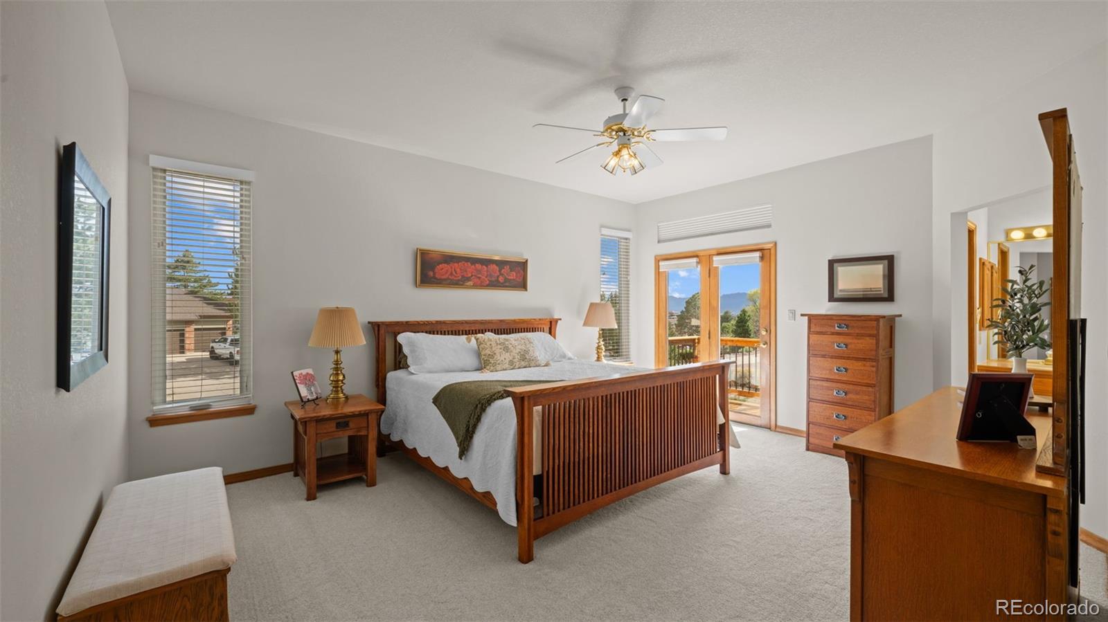 MLS Image #3 for 9710  brassie court,colorado springs, Colorado