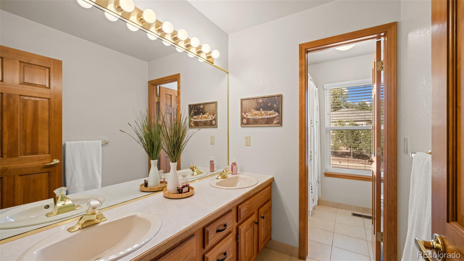 MLS Image #5 for 9710  brassie court,colorado springs, Colorado