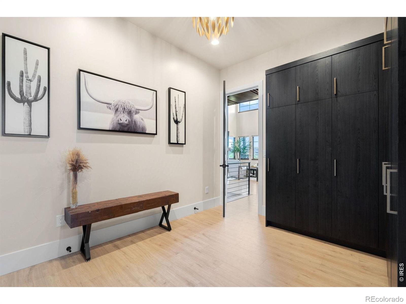MLS Image #14 for 1501  flowering tree court,windsor, Colorado