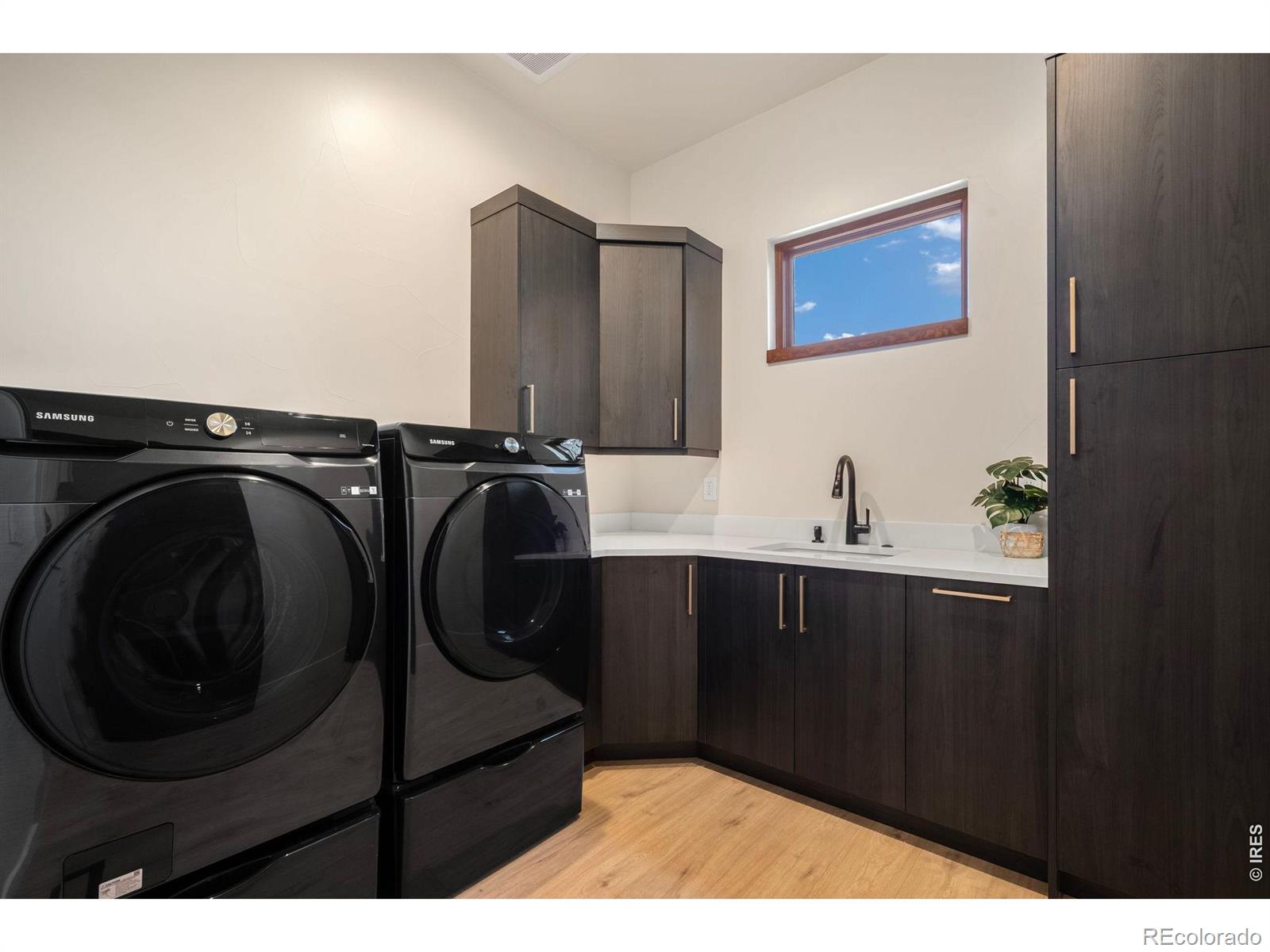 MLS Image #15 for 1501  flowering tree court,windsor, Colorado