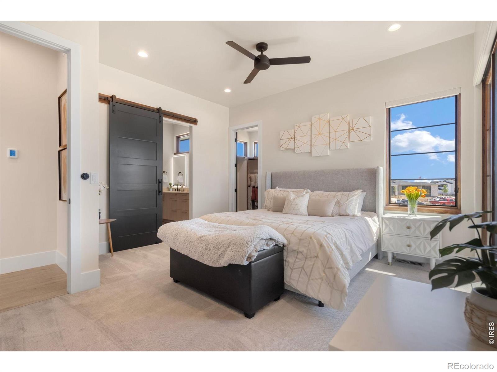 MLS Image #17 for 1501  flowering tree court,windsor, Colorado