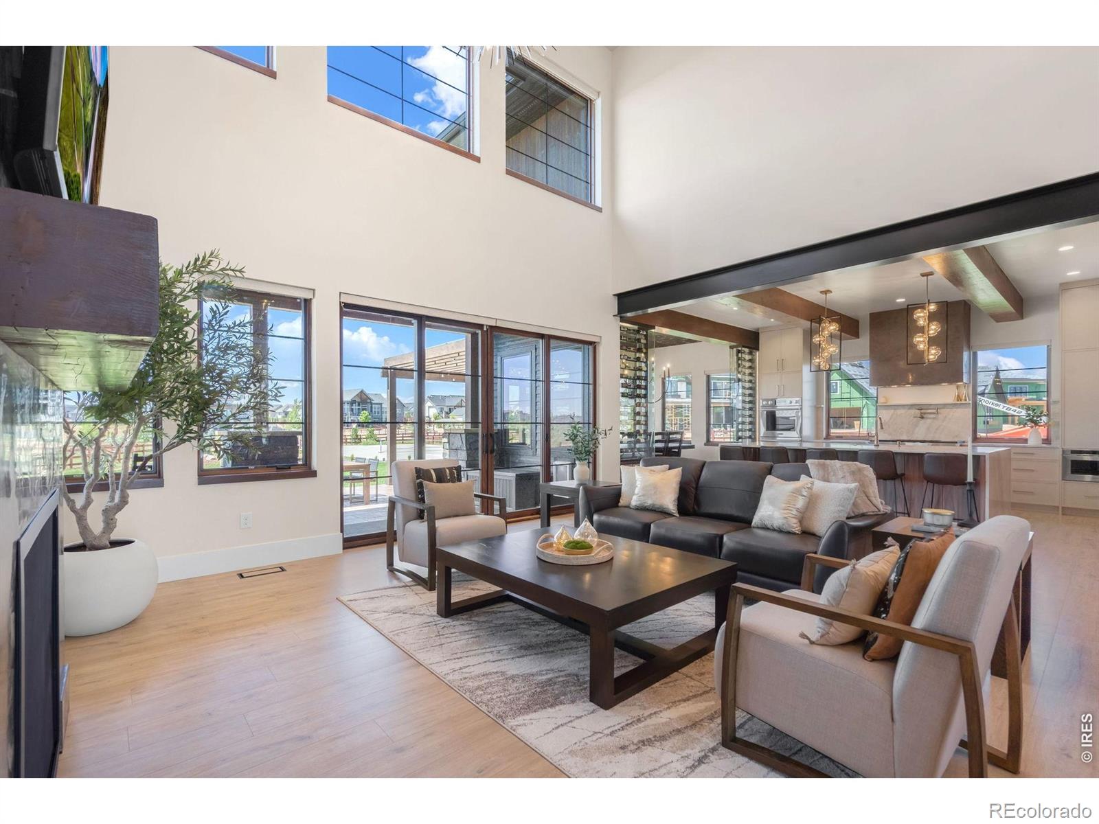 MLS Image #4 for 1501  flowering tree court,windsor, Colorado