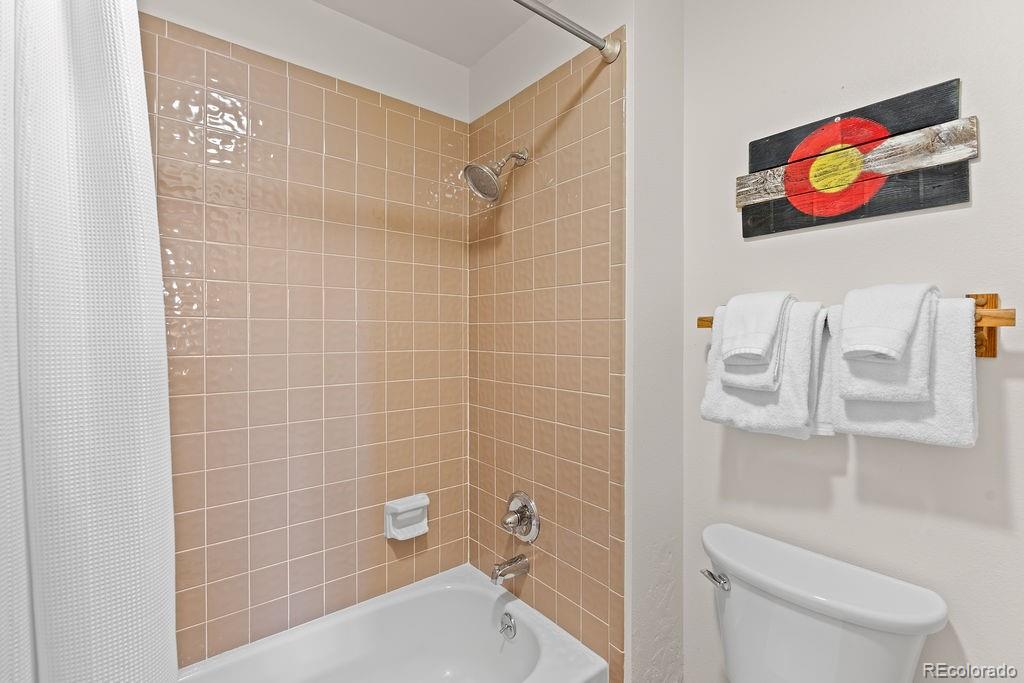MLS Image #17 for 9401  ryan gulch road,silverthorne, Colorado