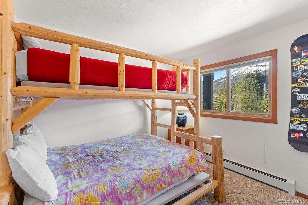 MLS Image #18 for 9401  ryan gulch road,silverthorne, Colorado
