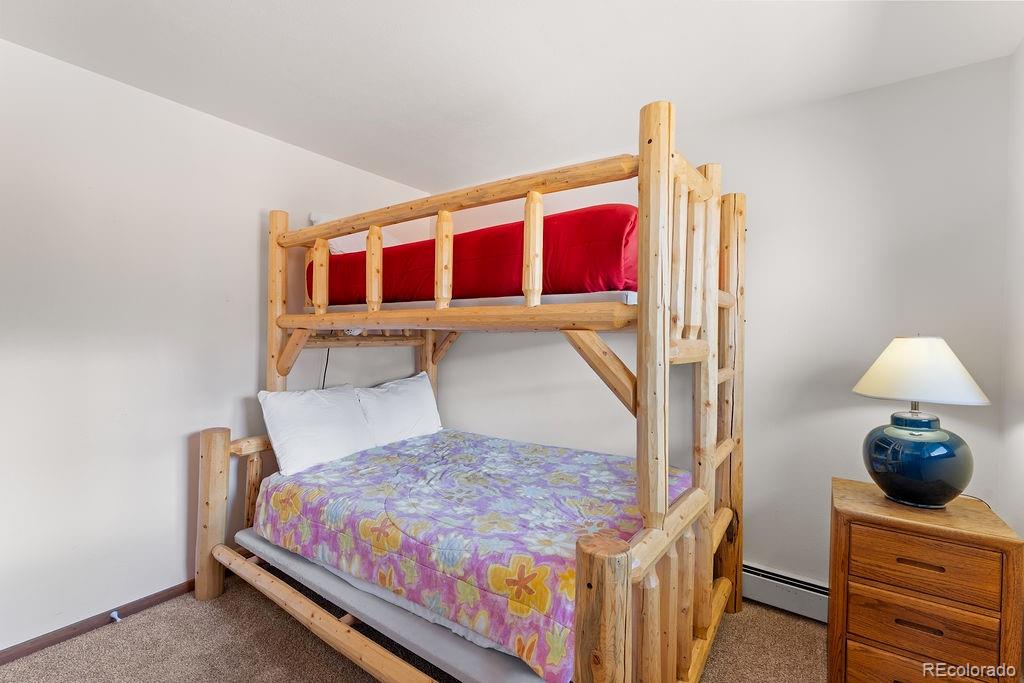 MLS Image #19 for 9401  ryan gulch road,silverthorne, Colorado