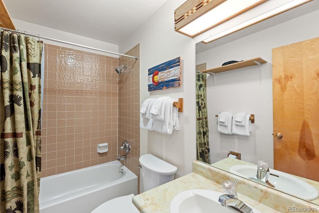 MLS Image #20 for 9401  ryan gulch road,silverthorne, Colorado