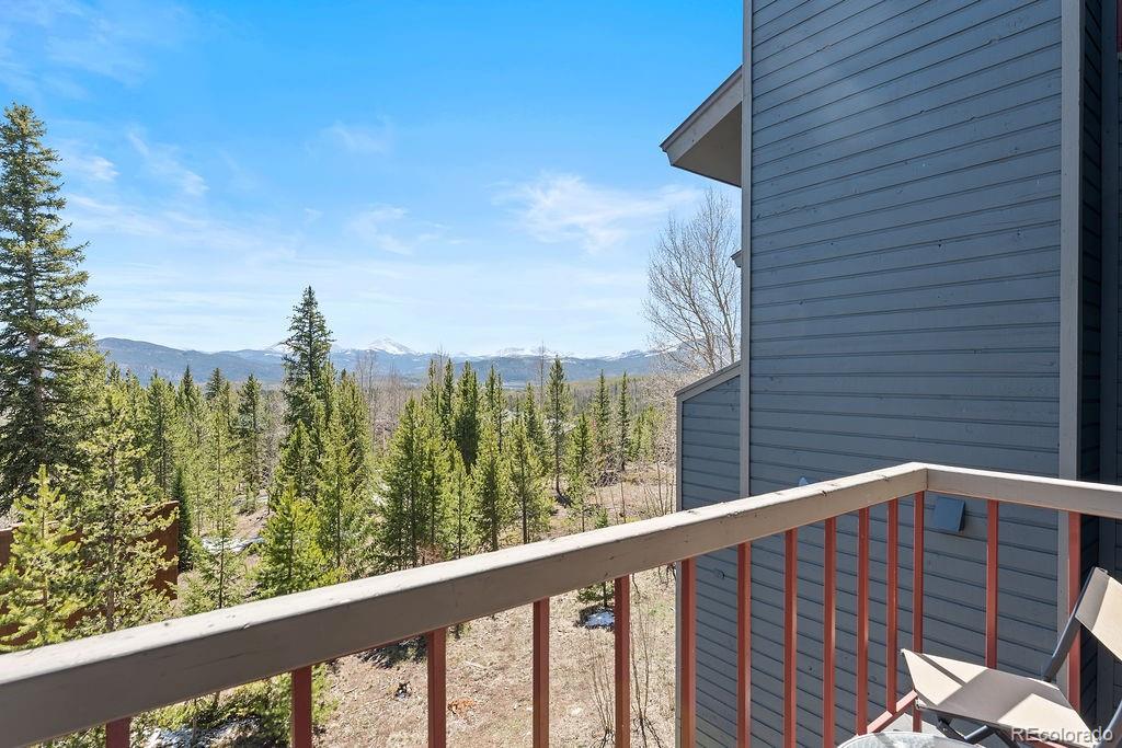 MLS Image #8 for 9401  ryan gulch road,silverthorne, Colorado