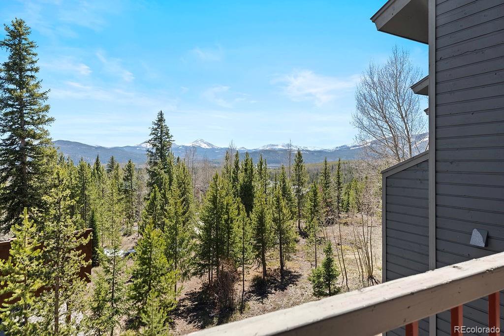 MLS Image #9 for 9401  ryan gulch road,silverthorne, Colorado