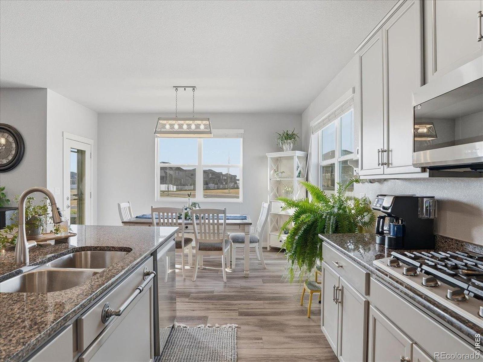 MLS Image #10 for 1229  argali drive,severance, Colorado