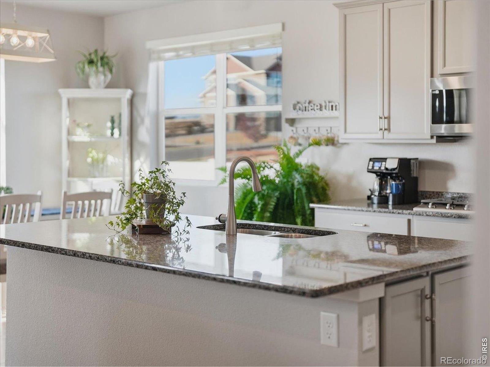 MLS Image #7 for 1229  argali drive,severance, Colorado