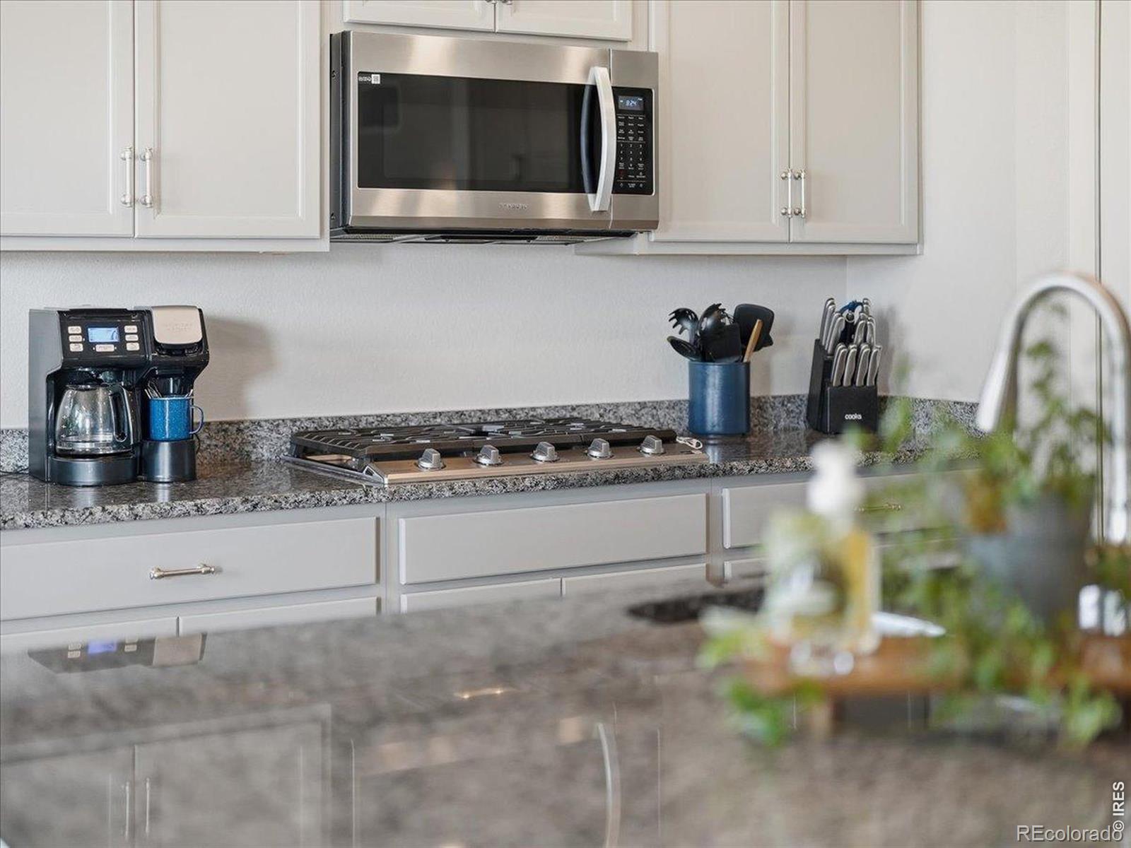MLS Image #9 for 1229  argali drive,severance, Colorado