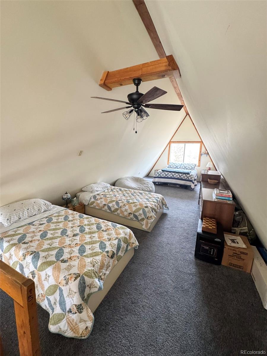 MLS Image #10 for 206  empire circle,leadville, Colorado