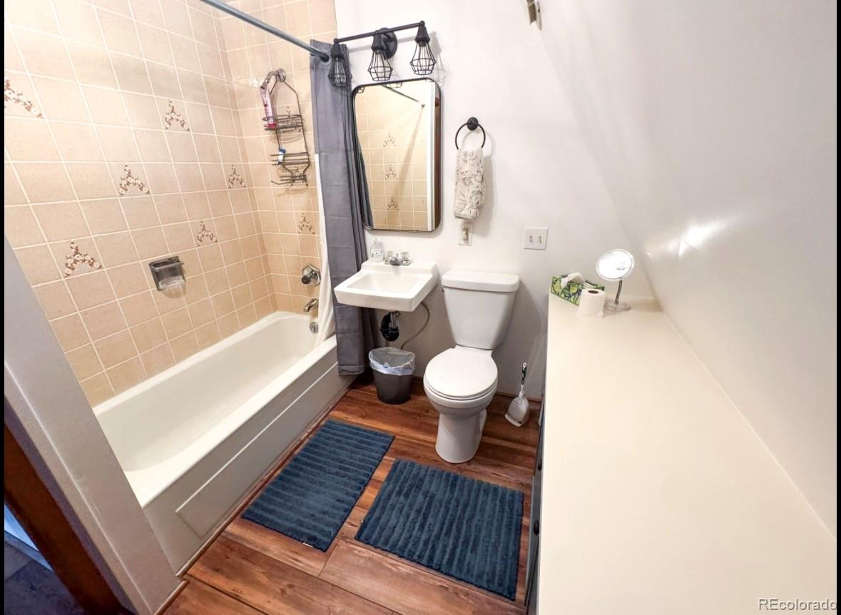MLS Image #11 for 206  empire circle,leadville, Colorado