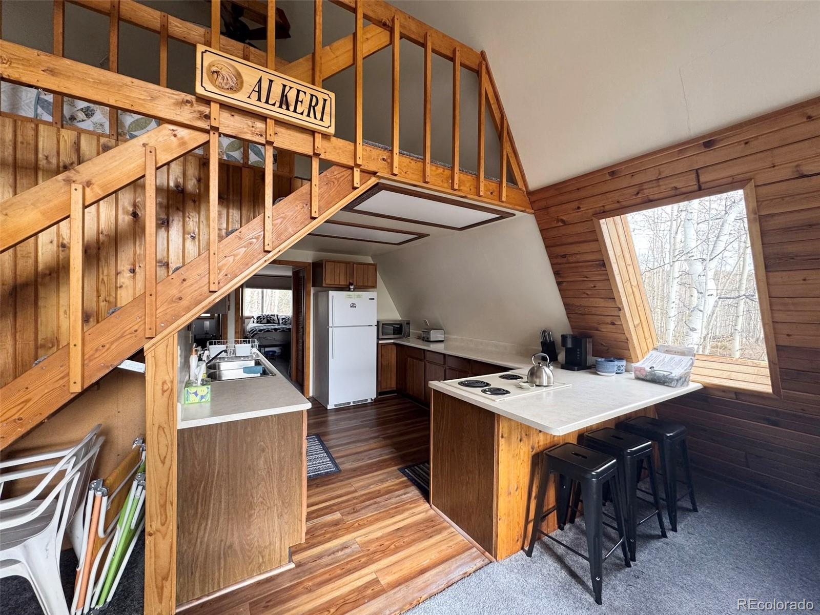 MLS Image #13 for 206  empire circle,leadville, Colorado
