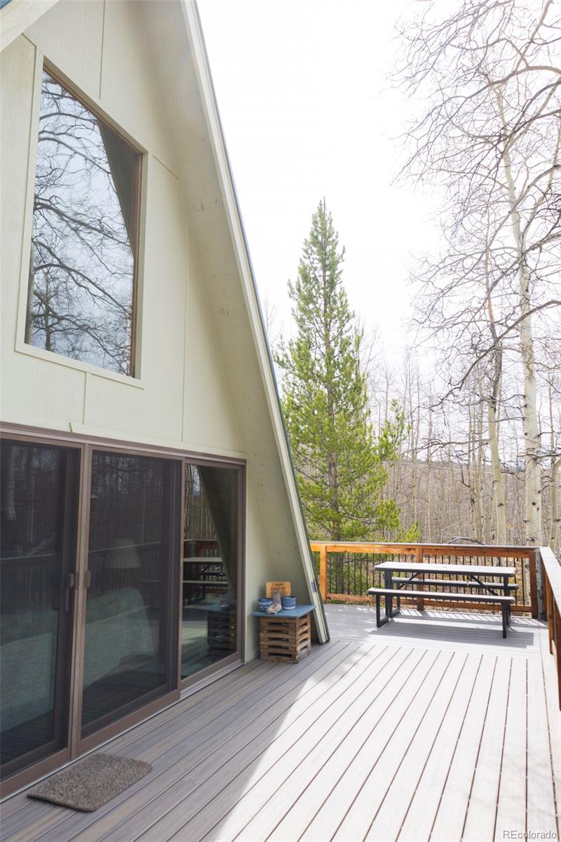 MLS Image #3 for 206  empire circle,leadville, Colorado