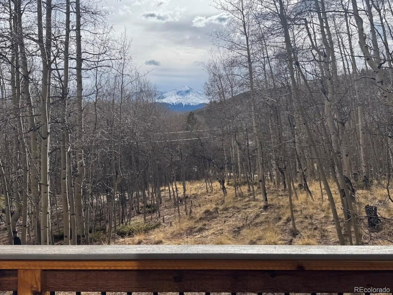 MLS Image #4 for 206  empire circle,leadville, Colorado