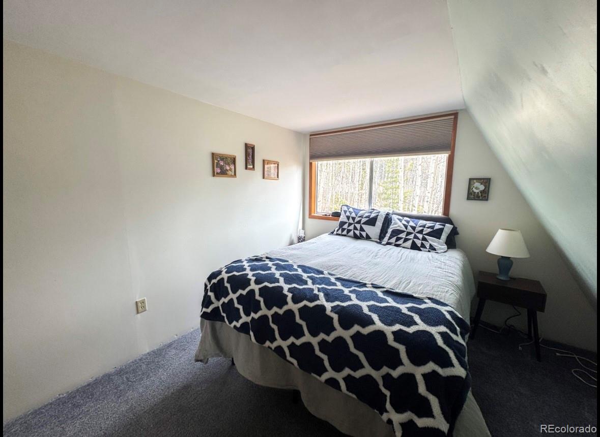 MLS Image #8 for 206  empire circle,leadville, Colorado