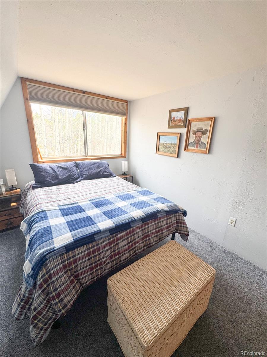 MLS Image #9 for 206  empire circle,leadville, Colorado
