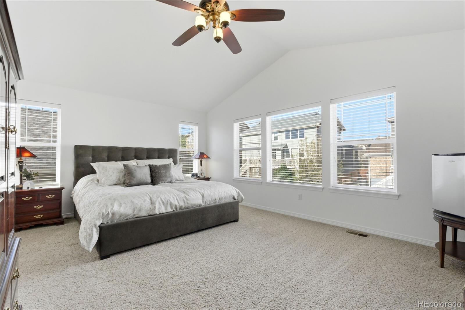 MLS Image #16 for 6247 s muscadine court,aurora, Colorado