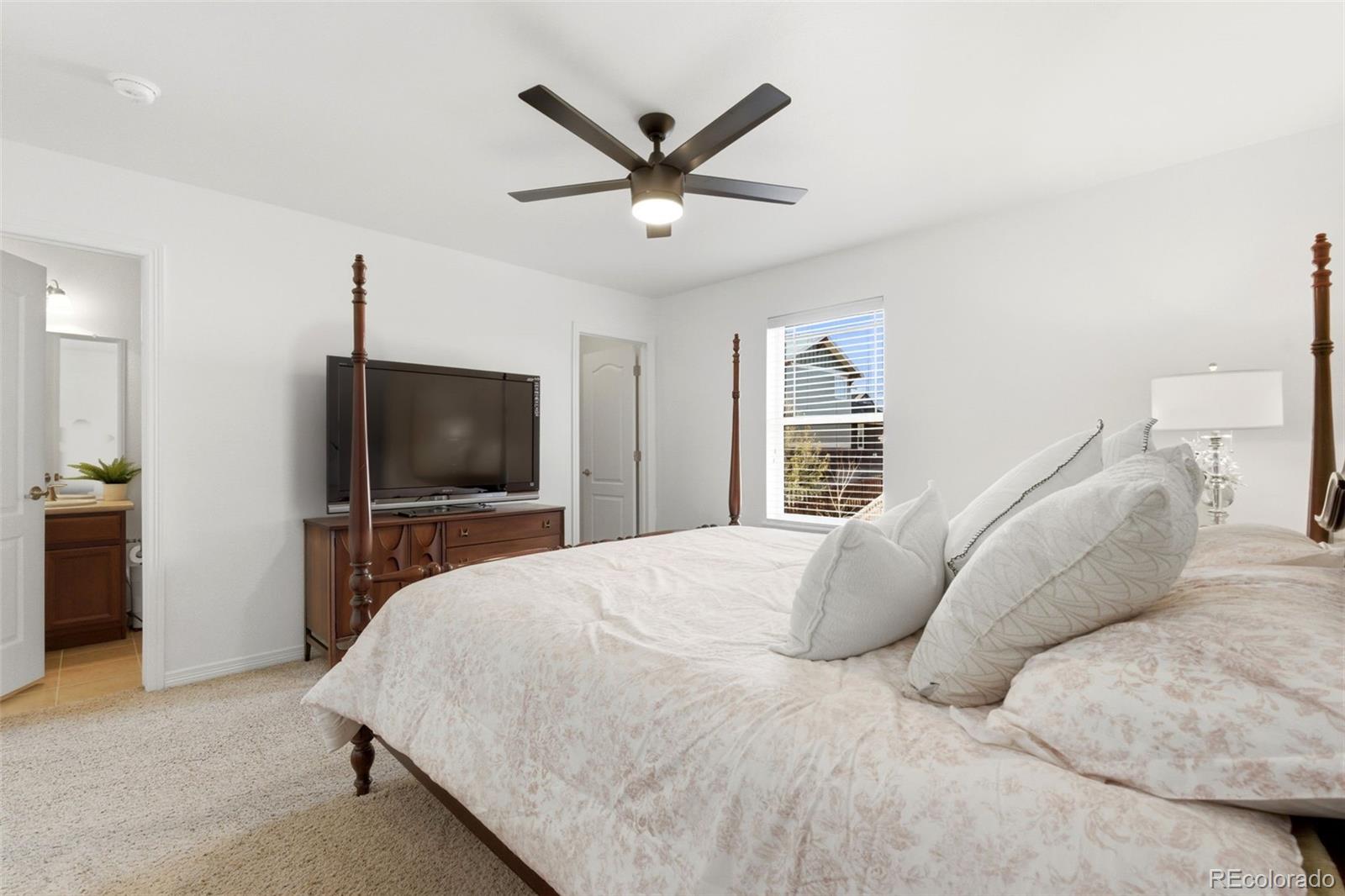 MLS Image #23 for 6247 s muscadine court,aurora, Colorado