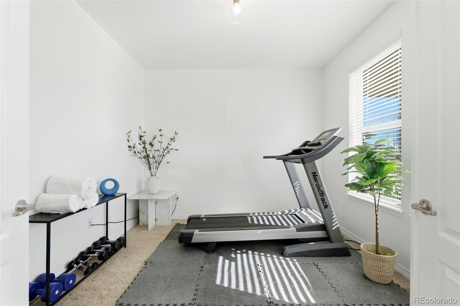 MLS Image #4 for 6247 s muscadine court,aurora, Colorado