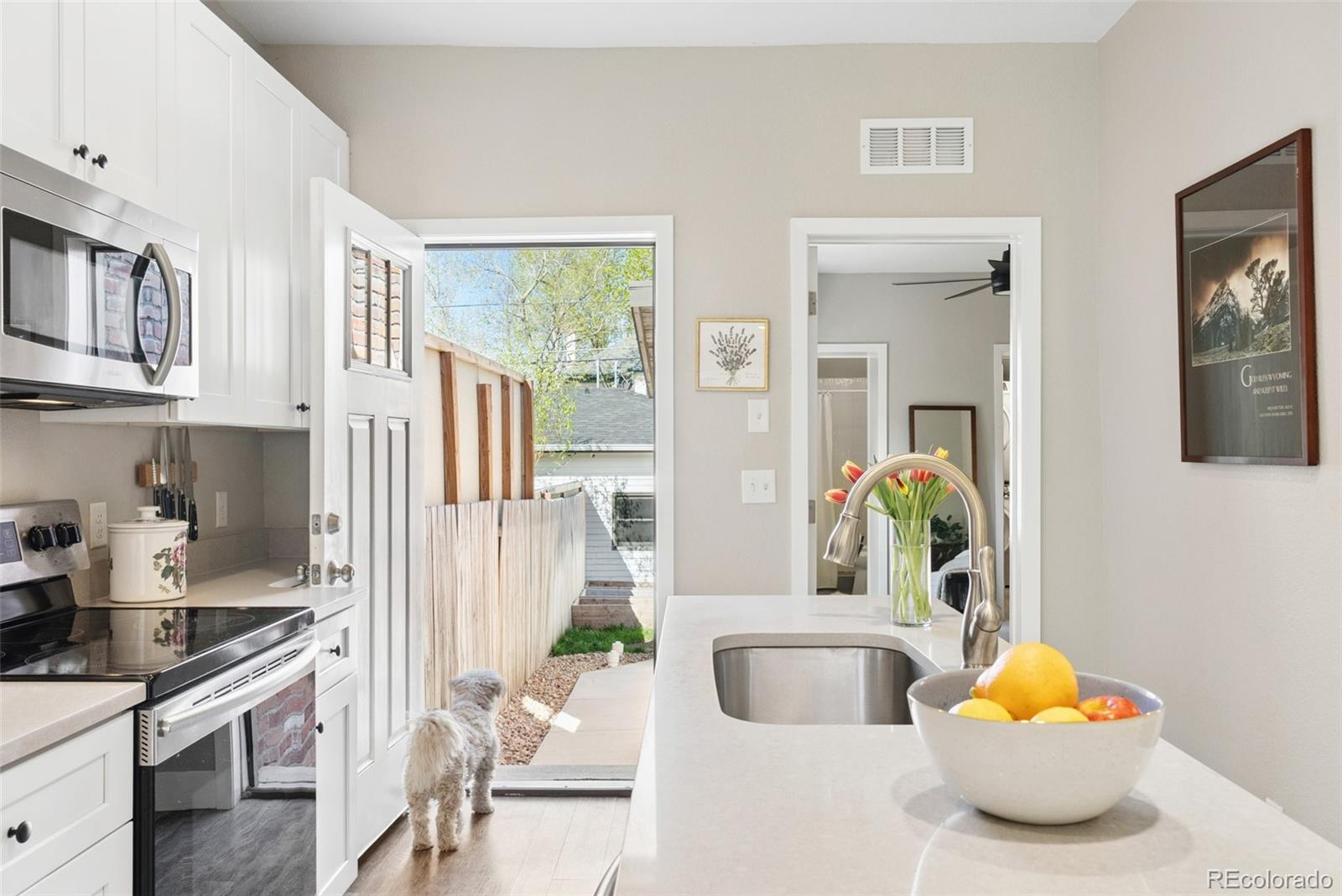 MLS Image #18 for 425 n corona street,denver, Colorado