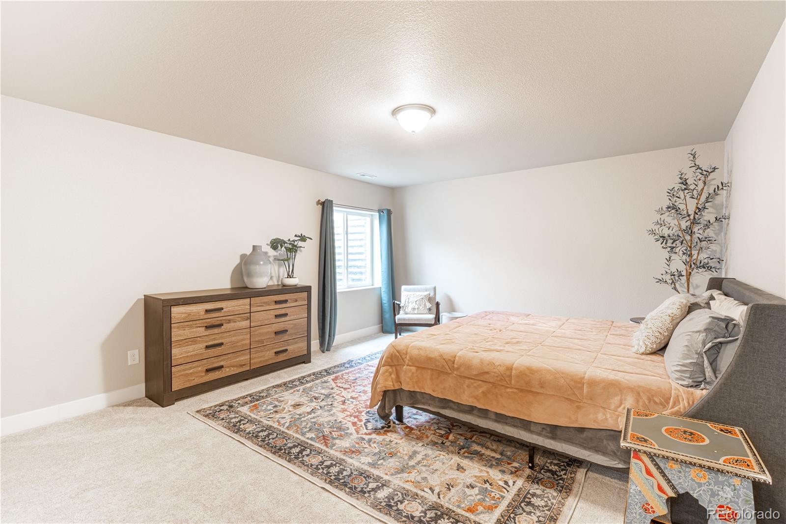 MLS Image #26 for 8889  bittercress drive,colorado springs, Colorado