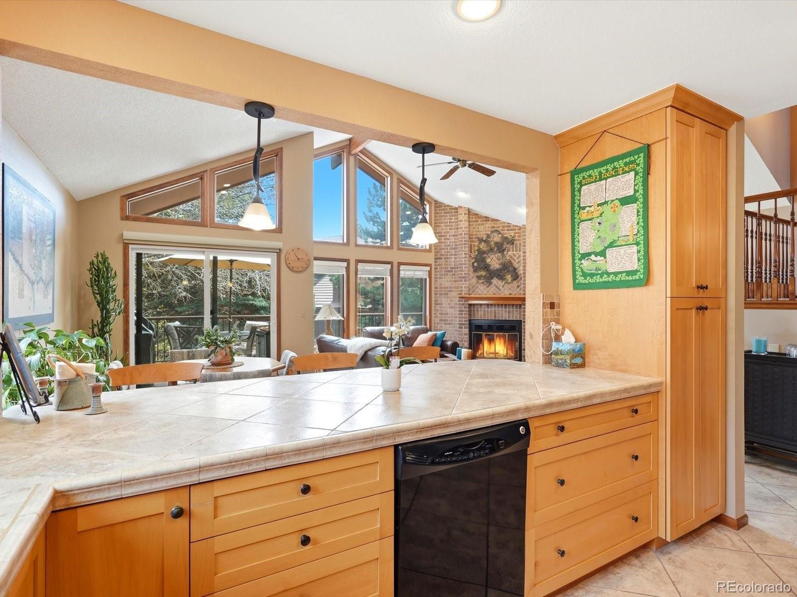 MLS Image #13 for 16082  deer ridge drive,morrison, Colorado
