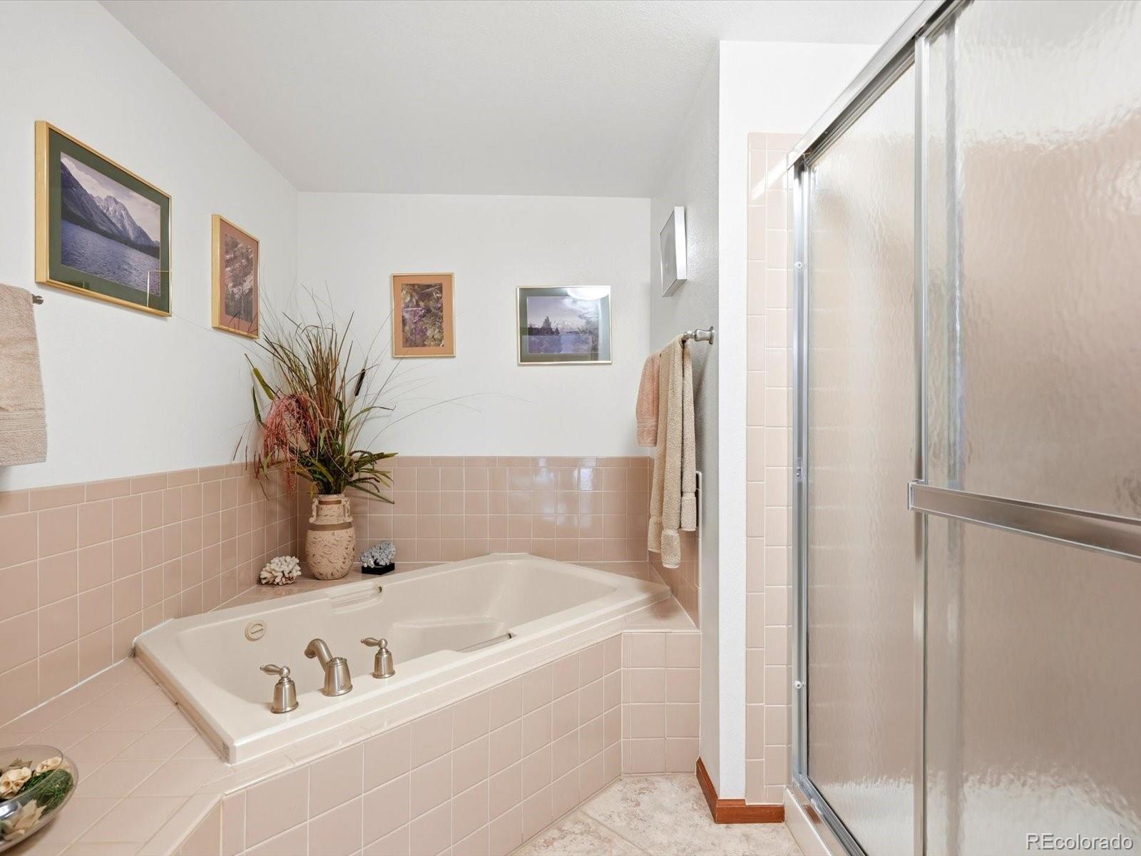 MLS Image #28 for 16082  deer ridge drive,morrison, Colorado