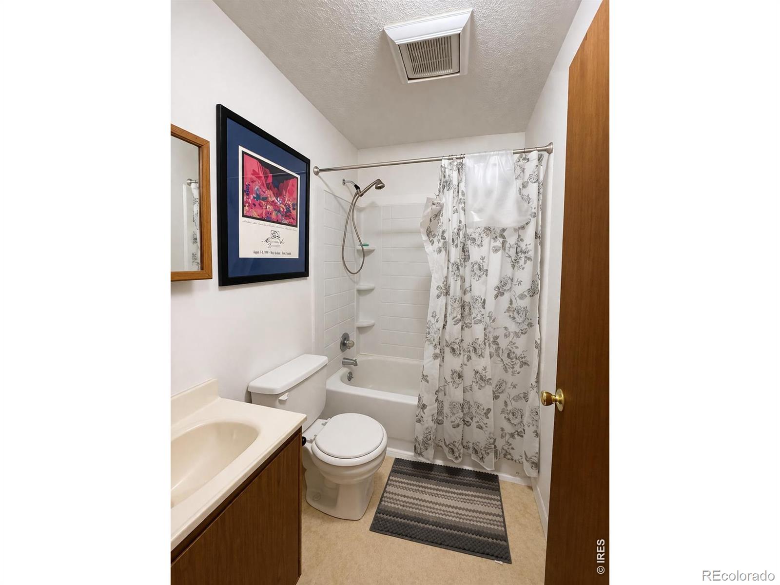MLS Image #11 for 484  washington street,walden, Colorado