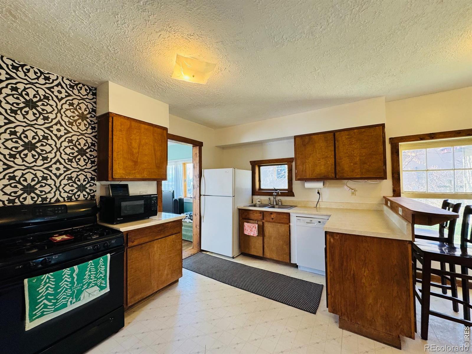 MLS Image #4 for 484  washington street,walden, Colorado