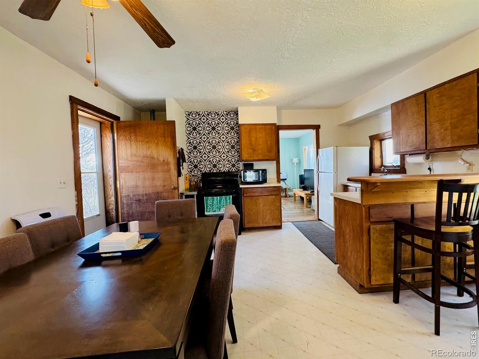 MLS Image #6 for 484  washington street,walden, Colorado
