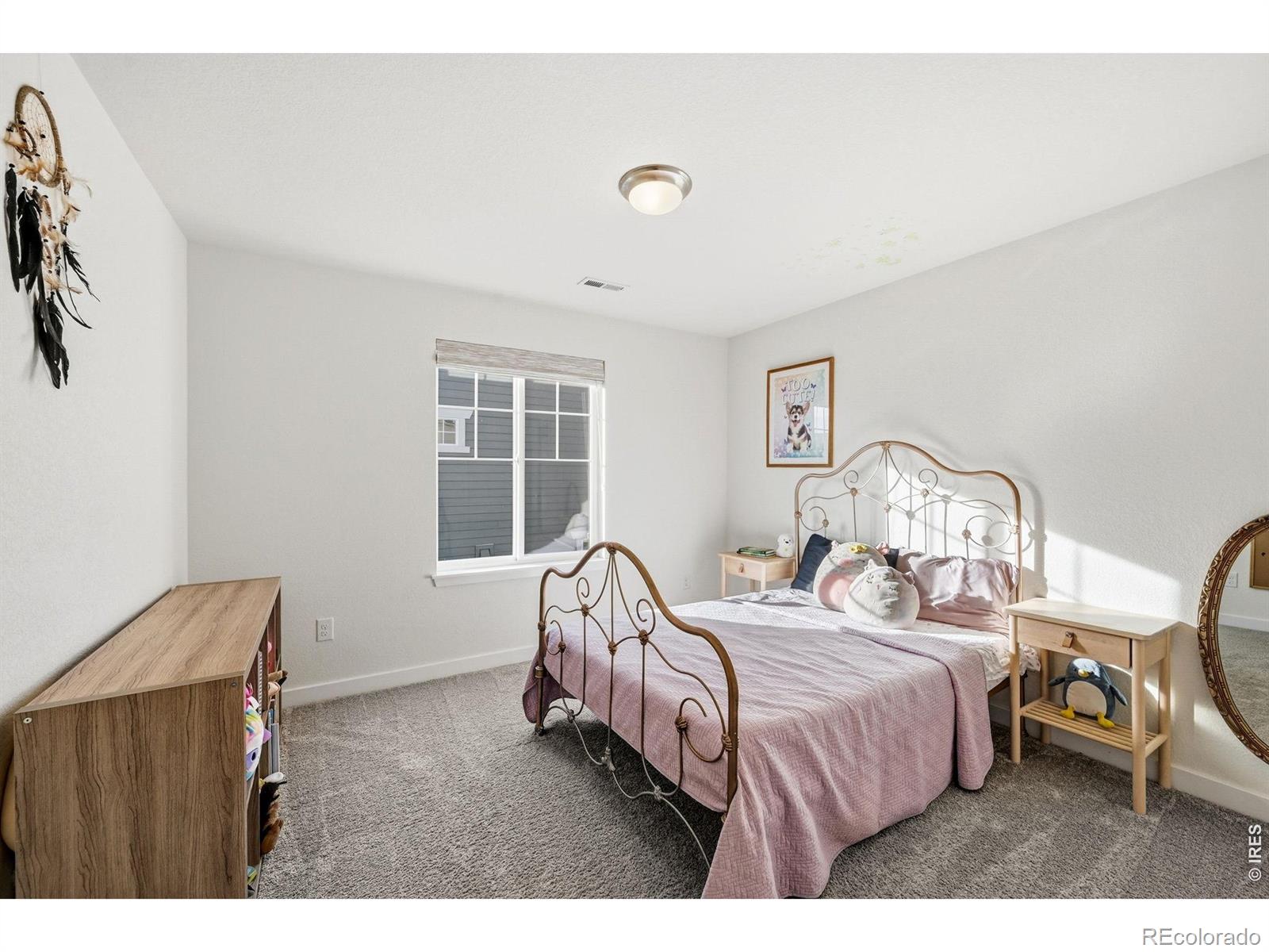 MLS Image #26 for 19133 w 95th lane,arvada, Colorado