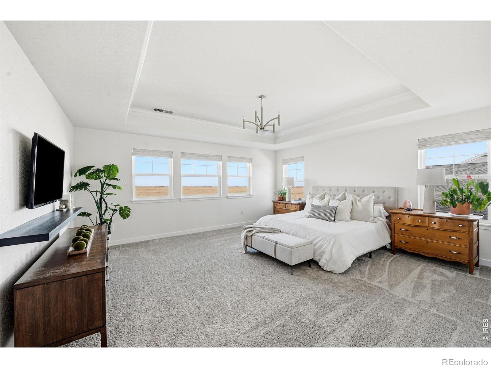 MLS Image #33 for 19133 w 95th lane,arvada, Colorado