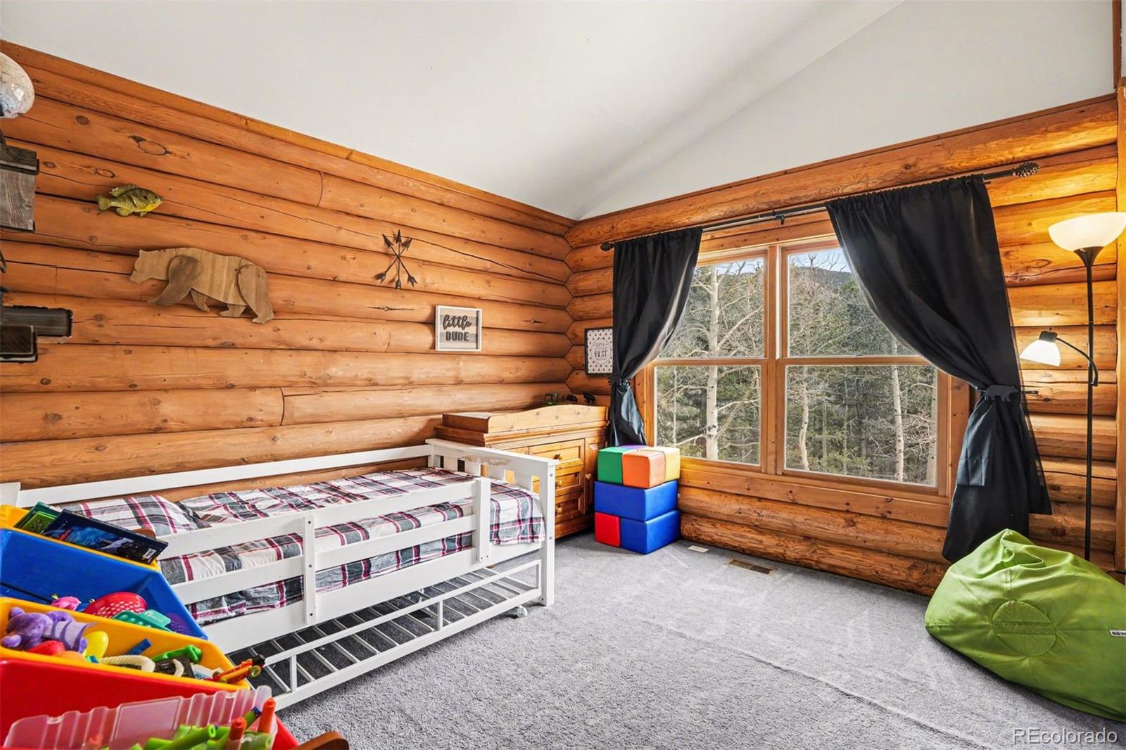 MLS Image #13 for 220  rocky mountain view,divide, Colorado