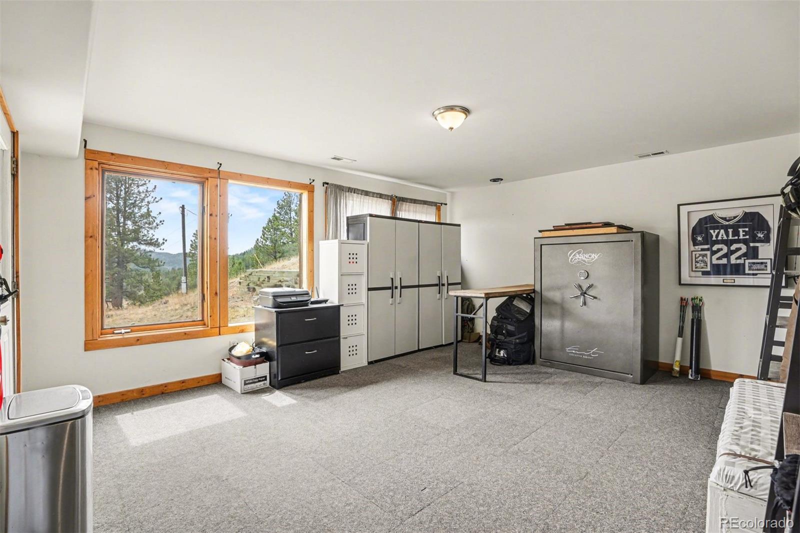 MLS Image #15 for 220  rocky mountain view,divide, Colorado