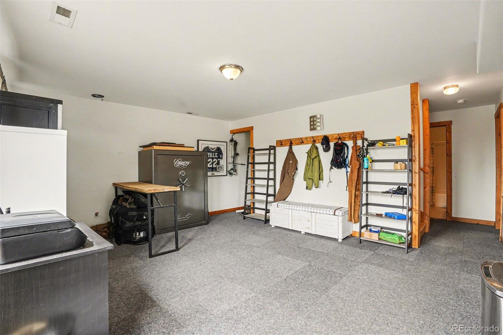 MLS Image #17 for 220  rocky mountain view,divide, Colorado
