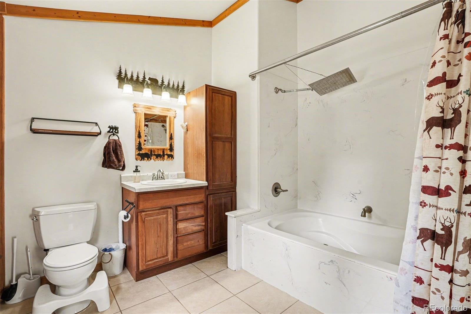 MLS Image #19 for 220  rocky mountain view,divide, Colorado