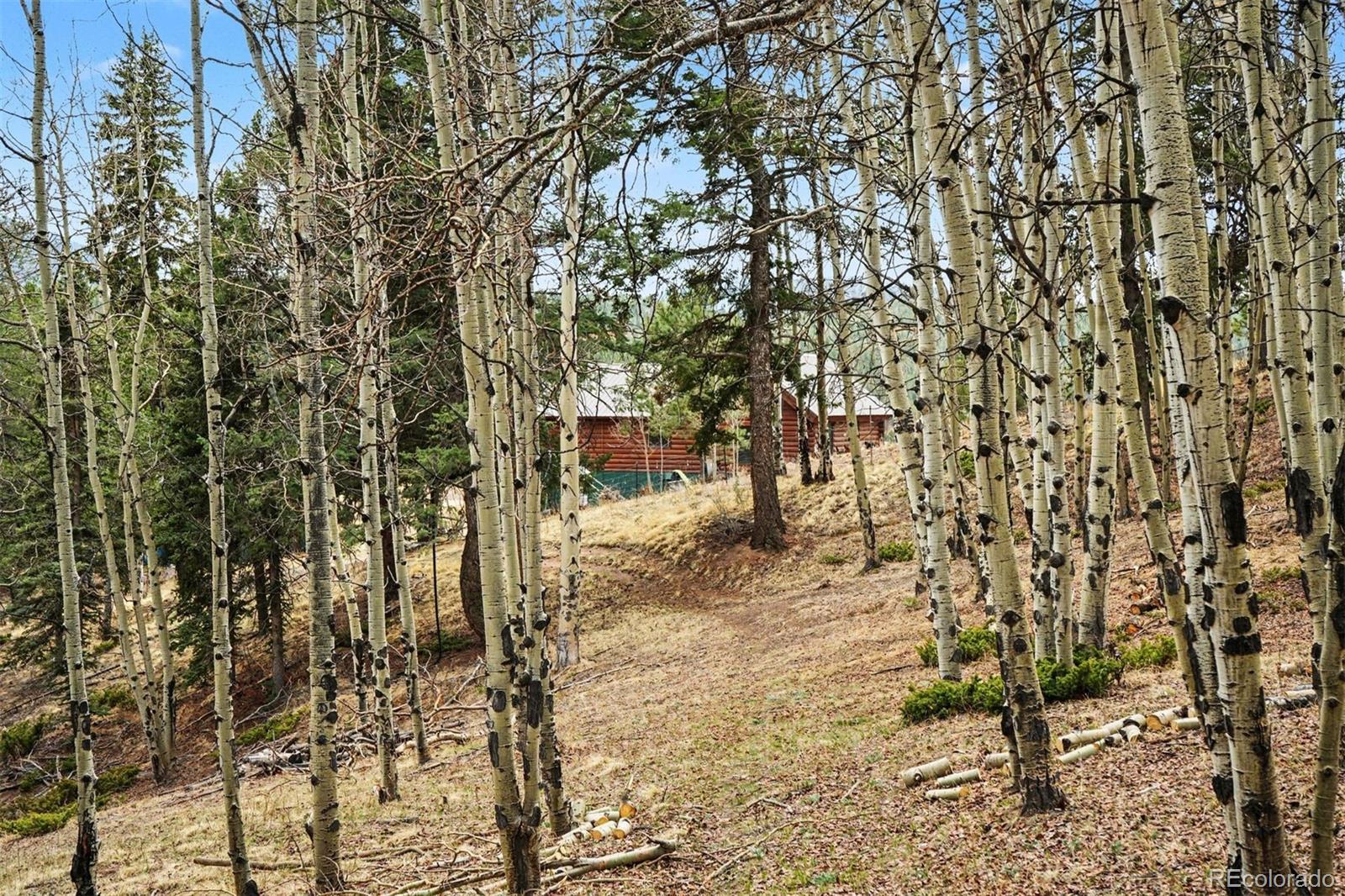 MLS Image #27 for 220  rocky mountain view,divide, Colorado