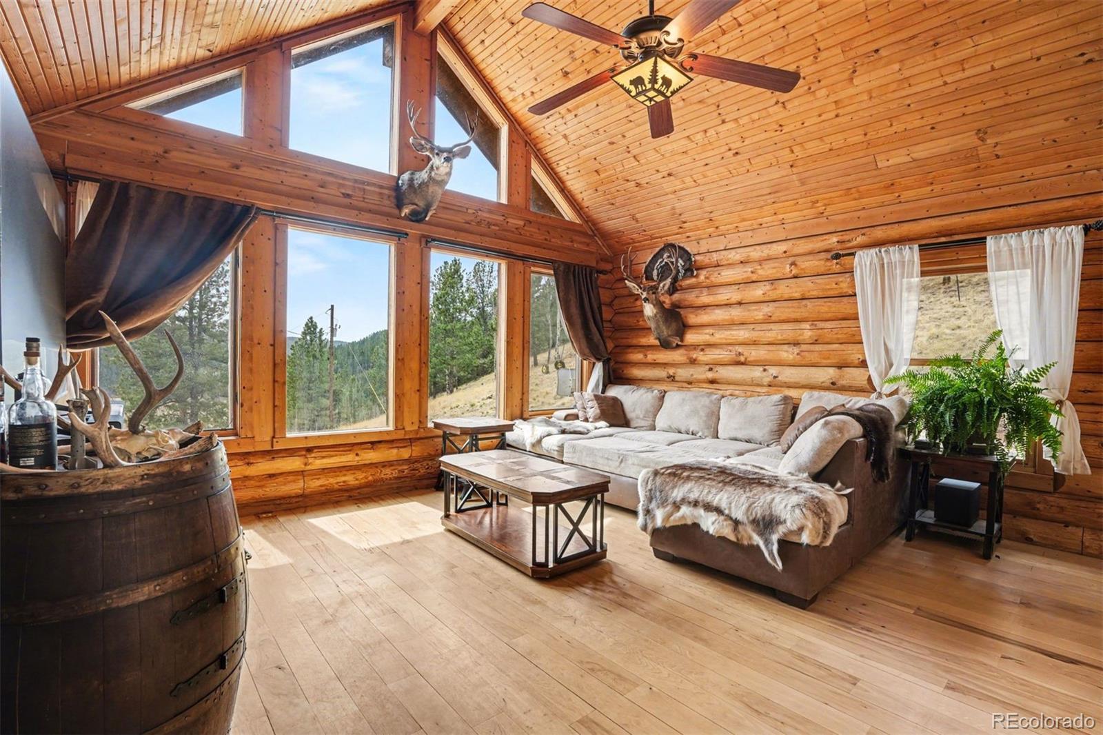 MLS Image #3 for 220  rocky mountain view,divide, Colorado