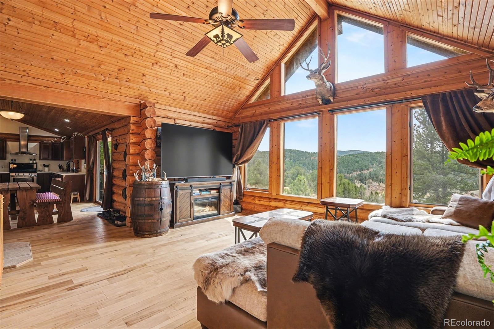 MLS Image #4 for 220  rocky mountain view,divide, Colorado