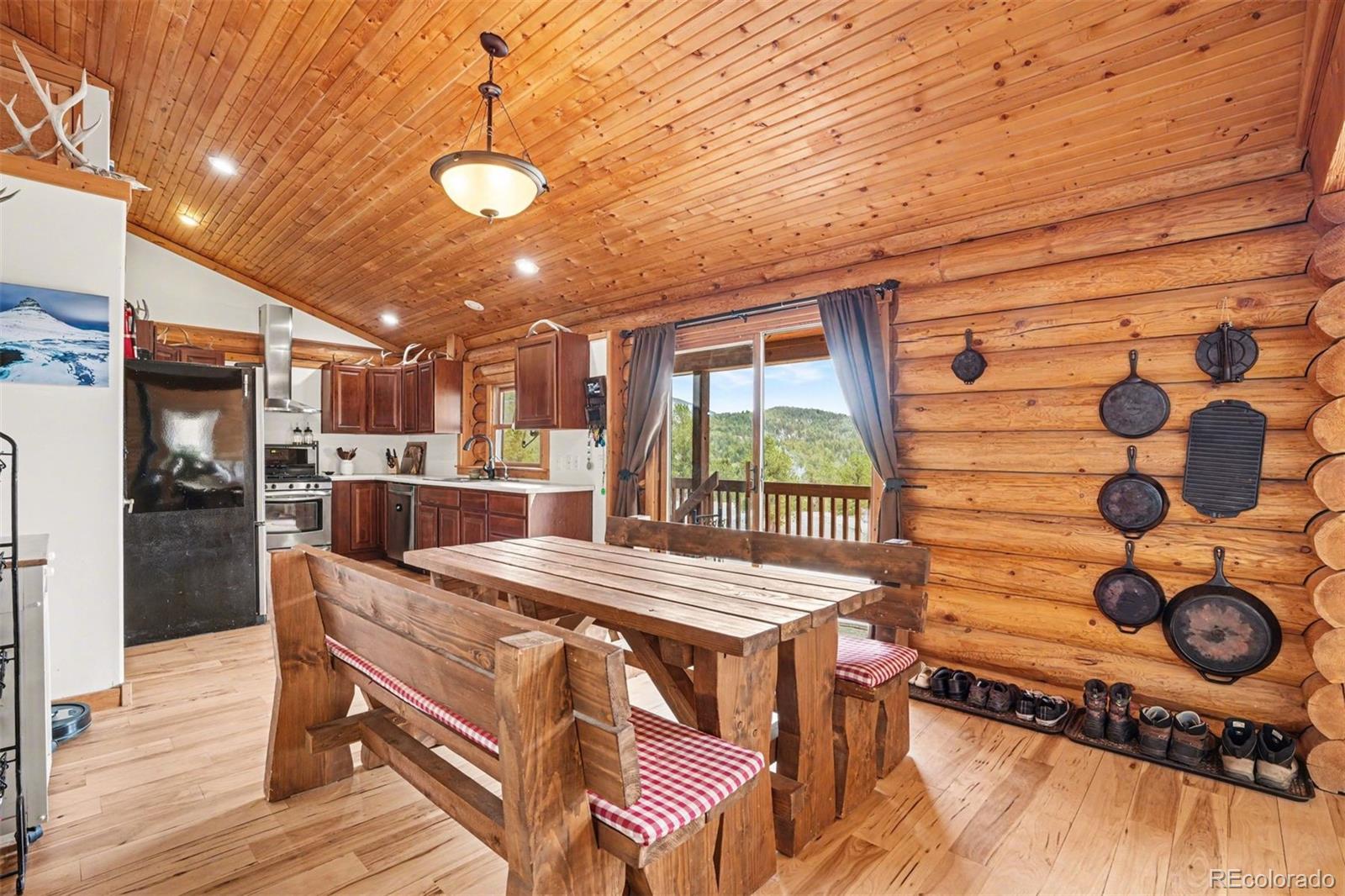 MLS Image #5 for 220  rocky mountain view,divide, Colorado