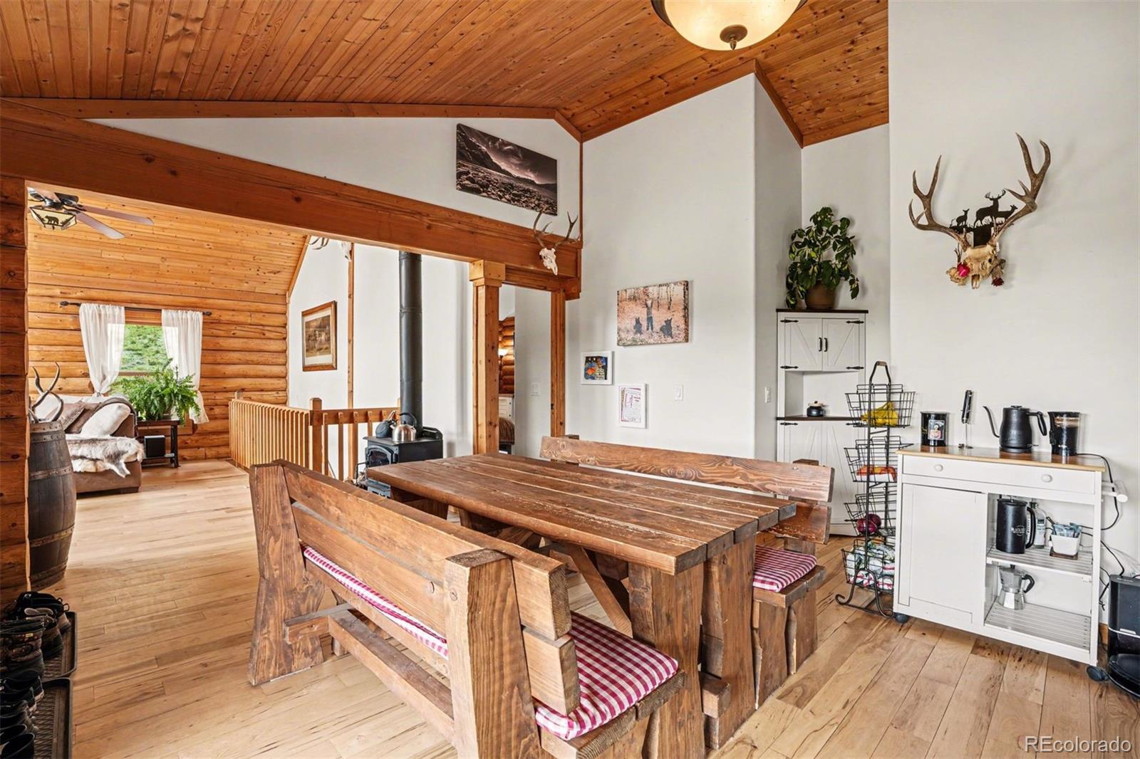 MLS Image #7 for 220  rocky mountain view,divide, Colorado
