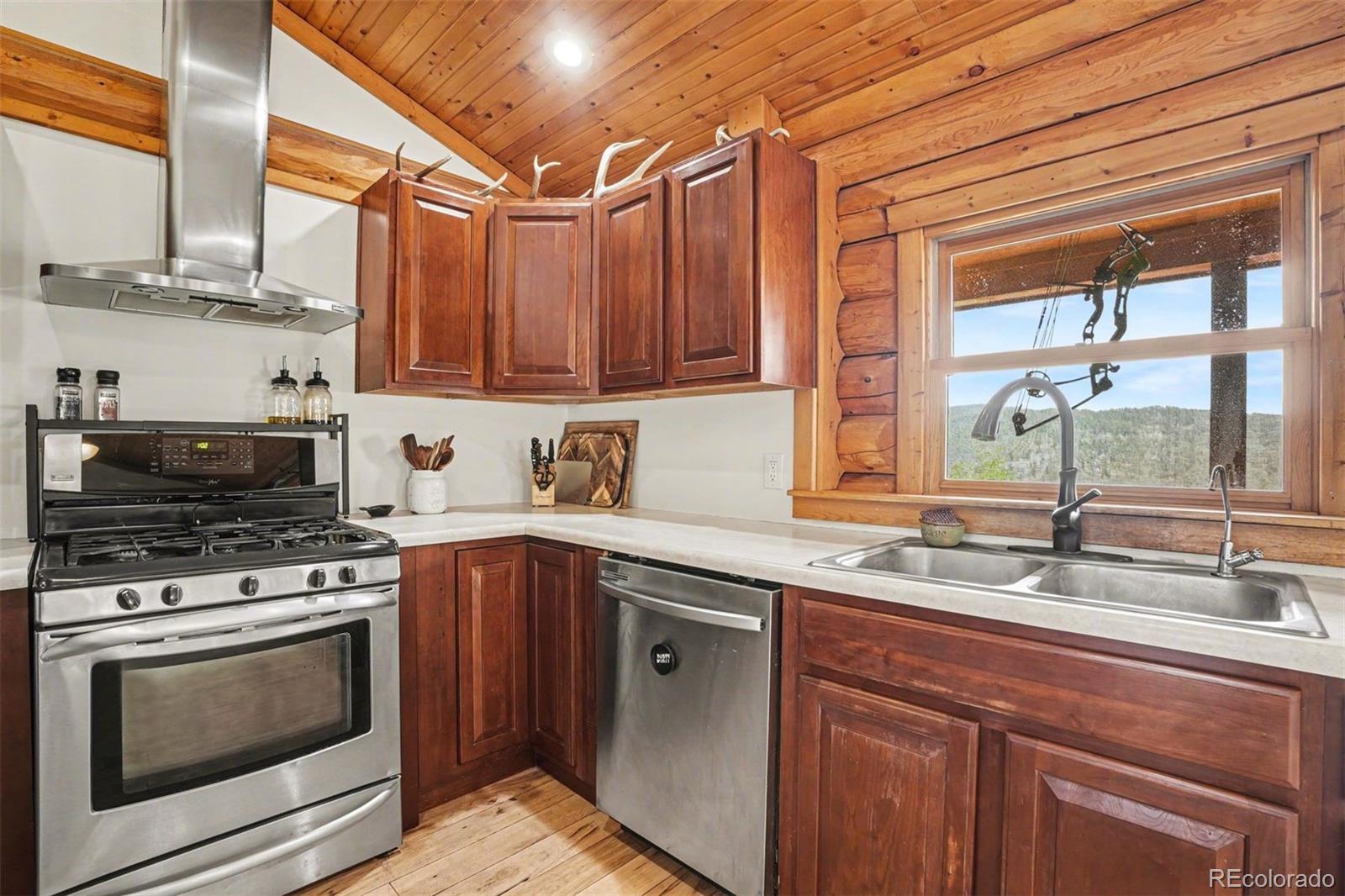 MLS Image #8 for 220  rocky mountain view,divide, Colorado