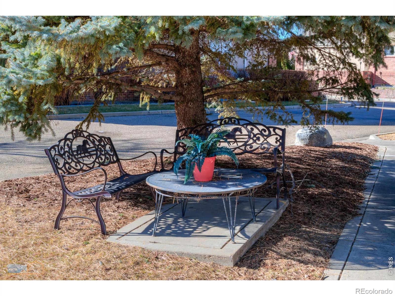 MLS Image #30 for 1333  charles drive,longmont, Colorado