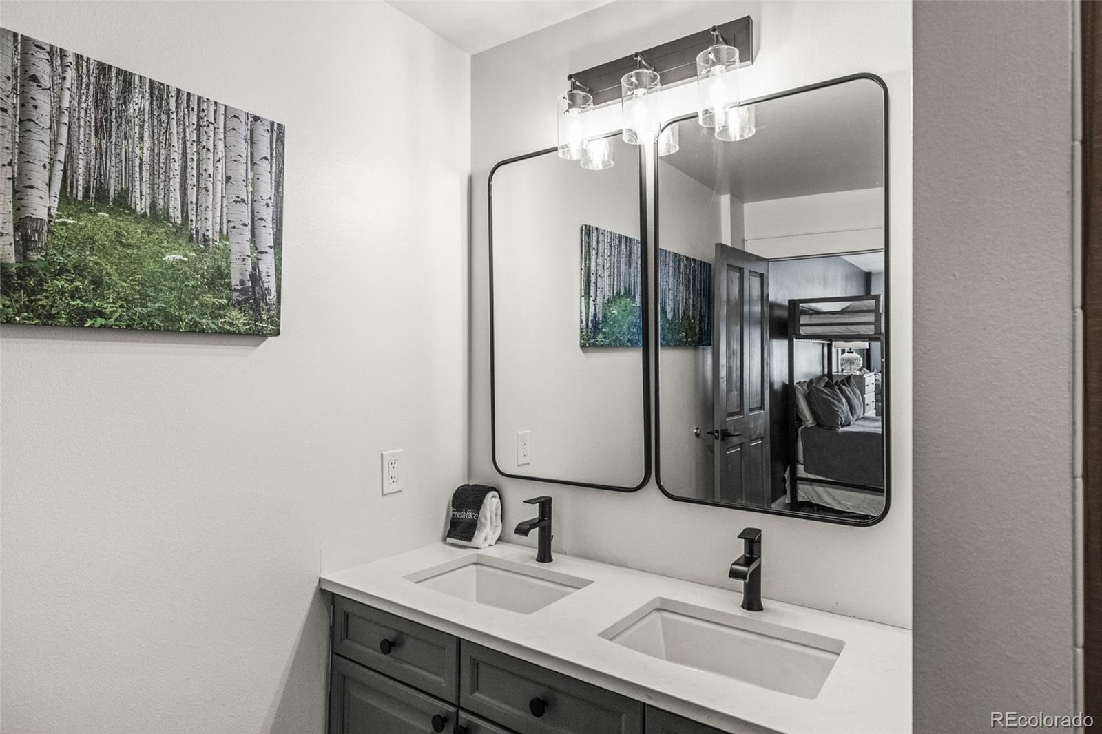 MLS Image #10 for 201  zephyr way,winter park, Colorado