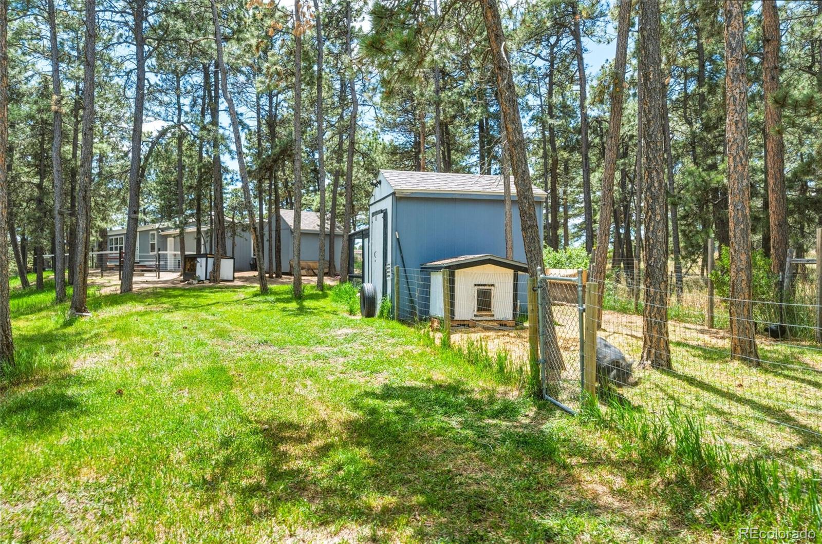 MLS Image #37 for 18440  black squirrel road,colorado springs, Colorado