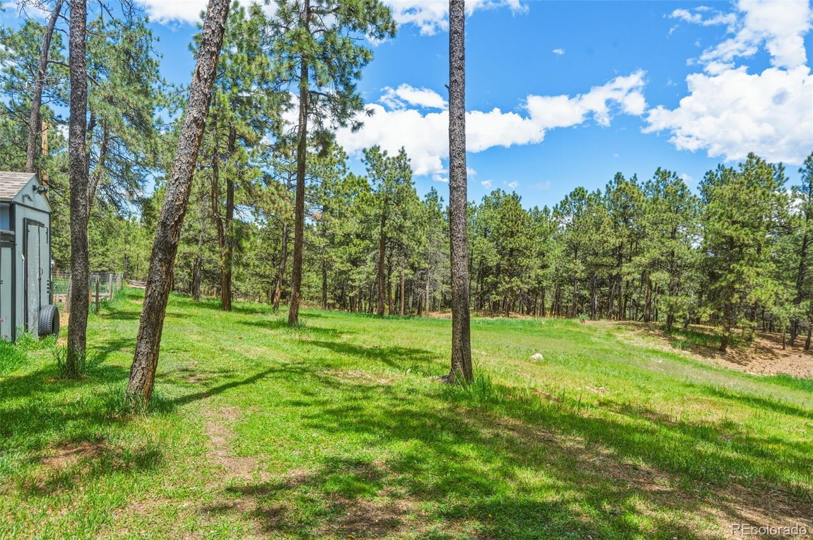 MLS Image #38 for 18440  black squirrel road,colorado springs, Colorado