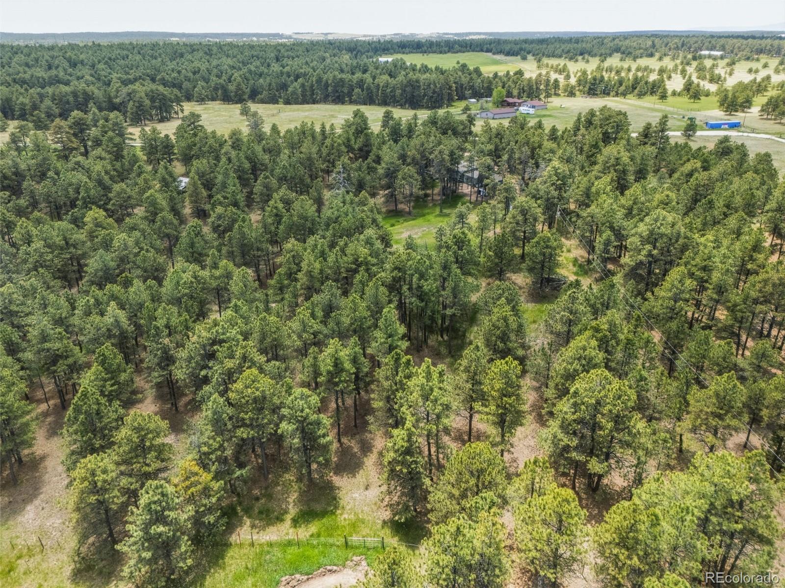 MLS Image #44 for 18440  black squirrel road,colorado springs, Colorado