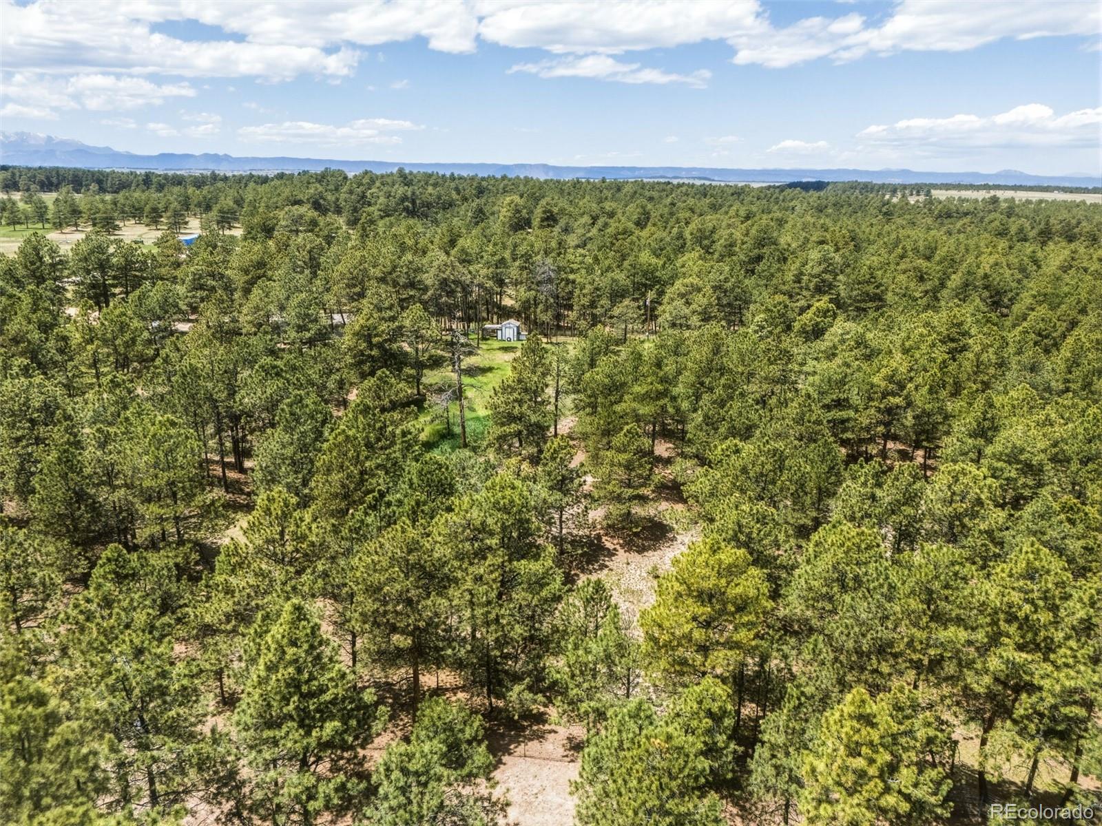 MLS Image #45 for 18440  black squirrel road,colorado springs, Colorado